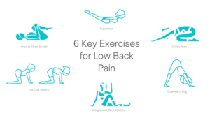 Back Pain Relief - Vancouver Downtown - Back Exercises